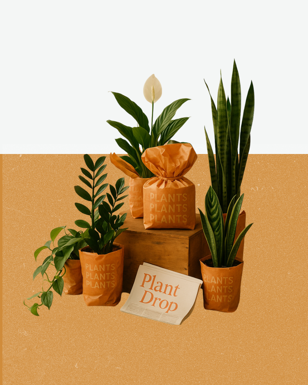 Full Room Kit (5 Plant)